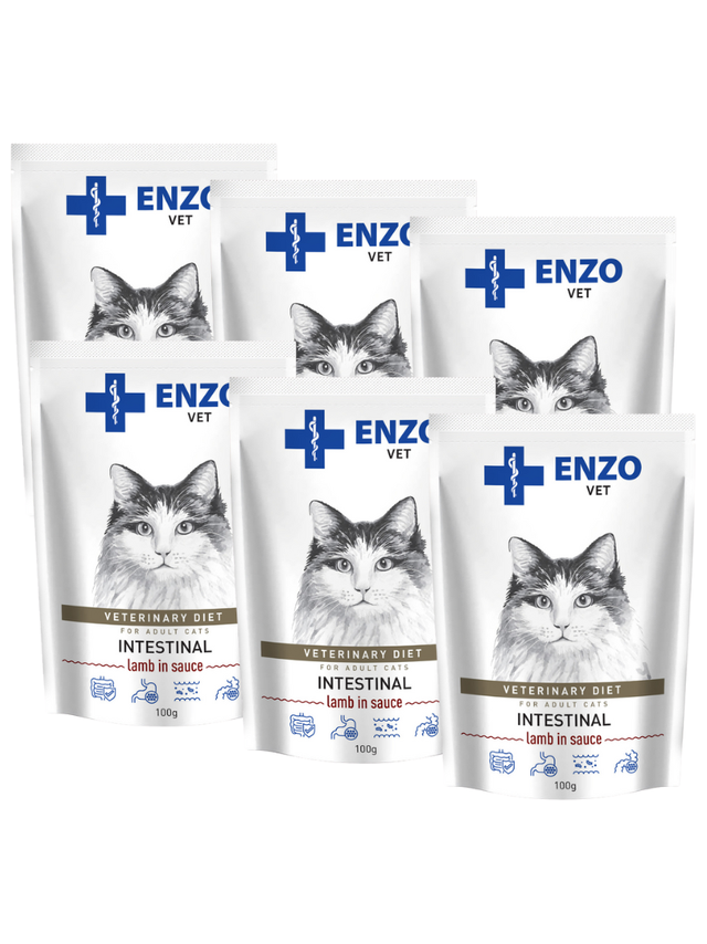 ENZO VET Intestinal z jagnięciną w sosie dla kotów 6x100g