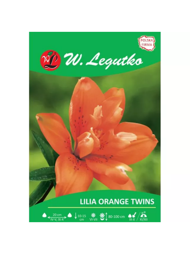 Lilia Orange twins pomarańczowa 1szt.