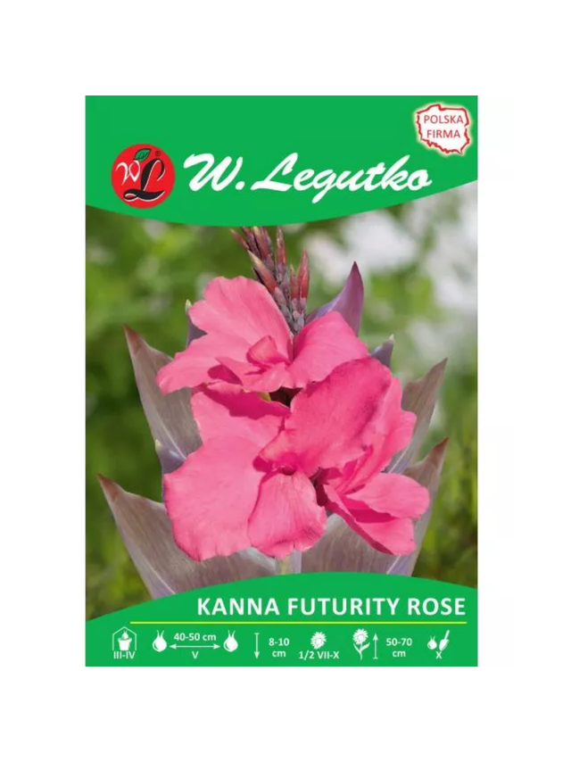 Kanna Futurity Rose różowa 1szt.