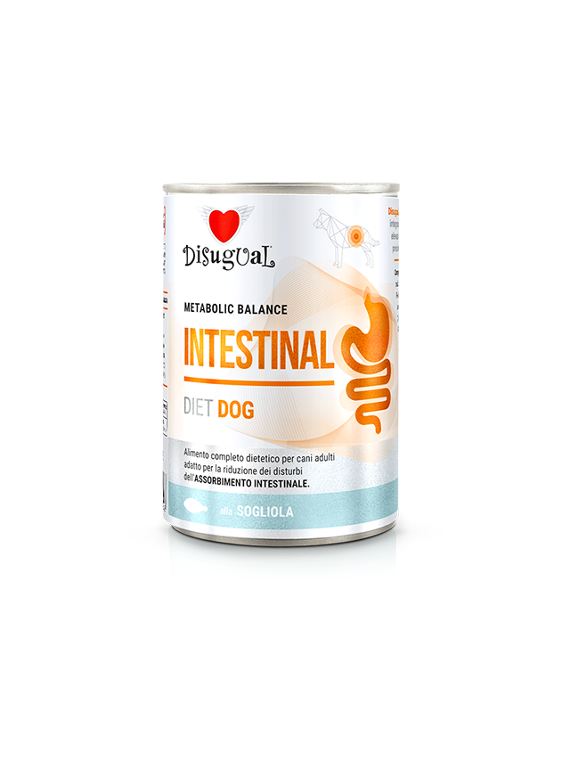 Disugual Karma mokra dla psa Weterynaryjna INTESTINAL Sola (dorosły) 400g