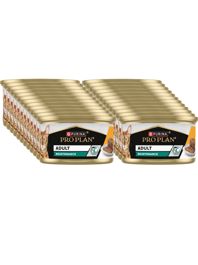 PRO PLAN Adult Wilgotny pasztet z kurczakiem Mokra karma dla kota 24x85g
