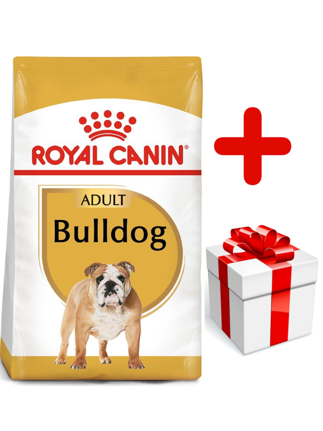 ROYAL CANIN Bulldog Adult 12kg karma sucha dla psów dorosłych rasy bulldog + niespodzianka dla psa GRATIS!
