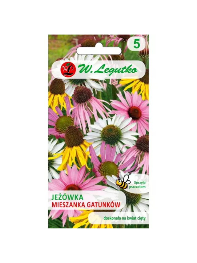 Jeżówka - mieszanka gatunków