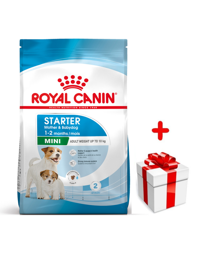 ROYAL CANIN Mini Starter Mother & Babydog 1kg karma sucha dla suk w ciąży i okresie laktacji oraz szczeniąt, od 4 do 8 tygodnia, ras małych  + niespodzianka dla psa GRATIS!