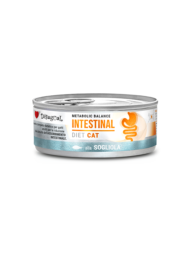 Disugual Karma mokra dla kota Weterynaryjna INTESTINAL Sola (dorosły) 85g