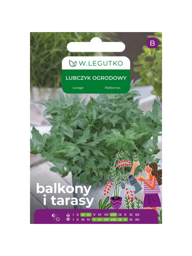 Lubczyk ogrodowy