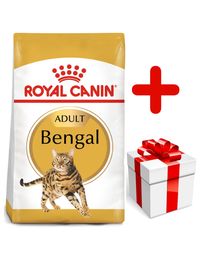 ROYAL CANIN Bengal Adult 10kg karma sucha dla kotów dorosłych rasy bengal + niespodzianka dla kota GRATIS!