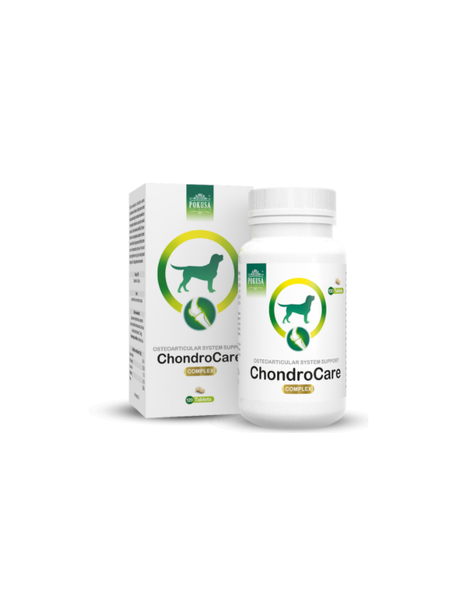 POKUSA ChondroLine ChondroCare 120 tabl.