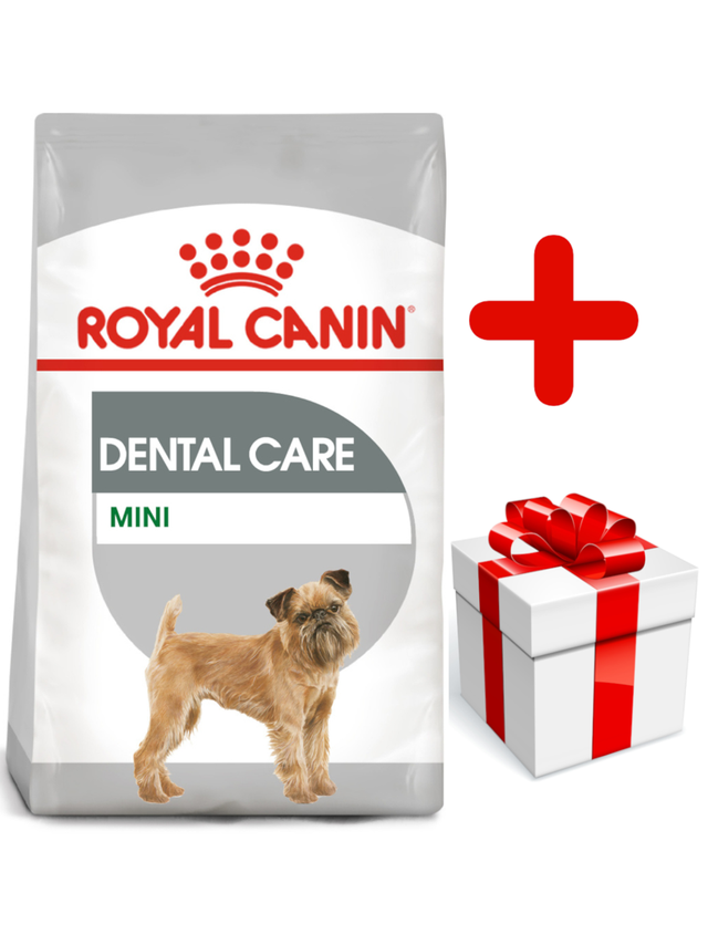 ROYAL CANIN CCN Mini Dental Care 8kg  + niespodzianka dla psa GRATIS!
