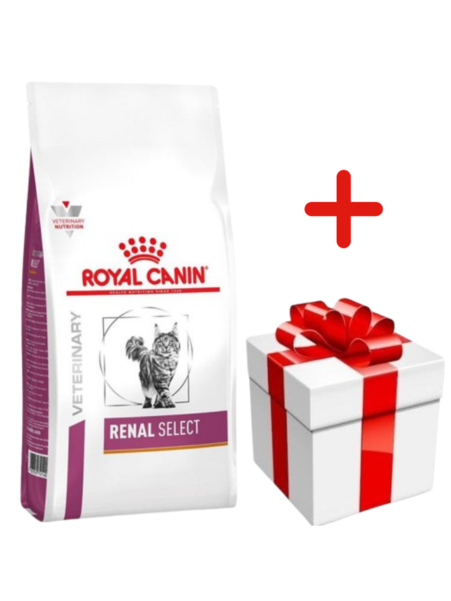 ROYAL CANIN Renal Select Feline 2kg + NIESPODZIANKA DLA KOTA GRATIS!!
