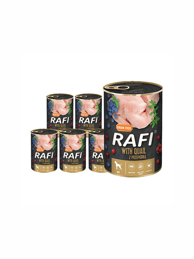 DOLINA NOTECI Rafi z przepiórką 6x400g