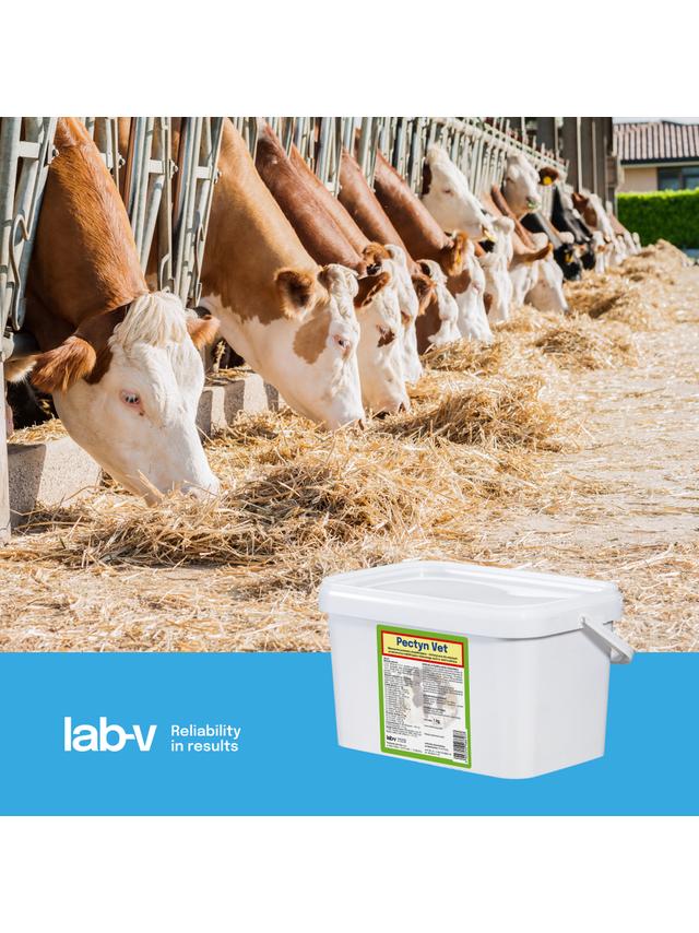 Lab-v Pectyn Vet - Mieszanka Paszowa Uzupełniająca Dietetyczna Dla Młodych Przeżuwaczy Stabilizująca Równowagę Wodno-Elektrolitową 1kg
