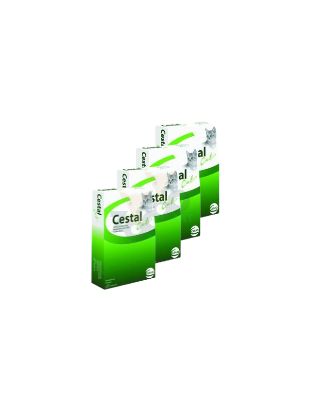 Cestal Cat tabletki na odrobaczanie kotów 8 tabletek
