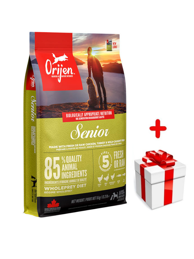 ORIJEN Dog Senior 6kg + niespodzianka dla psa GRATIS!