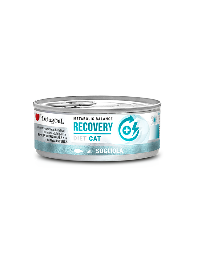 Disugual Karma mokra dla kota Weterynaryjna RECOVERY Sola (dorosły) 85g