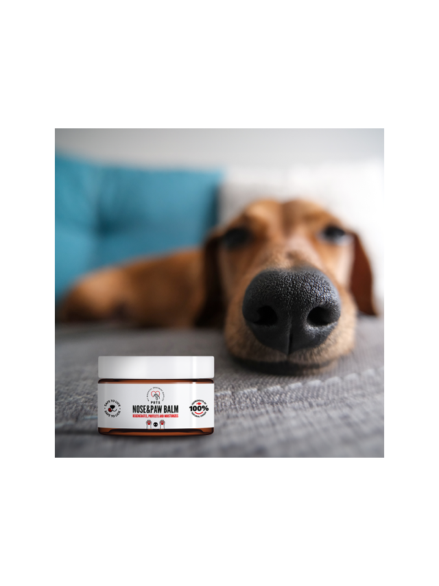 PET Nose & Paw Balm / Balsam do nosa i łapek 75ml – 100% naturalny skład