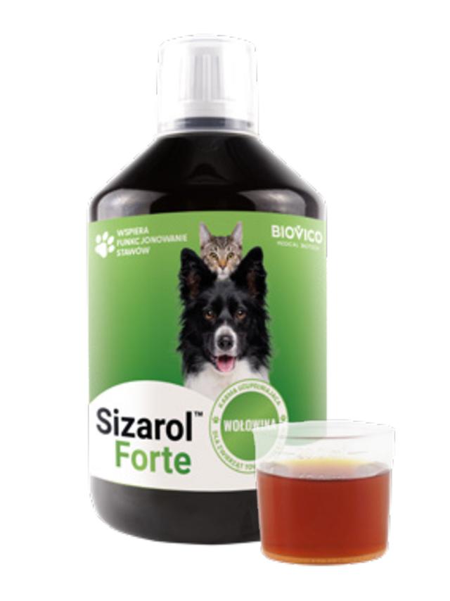 BIOVICO Sizarol Forte 250 ml