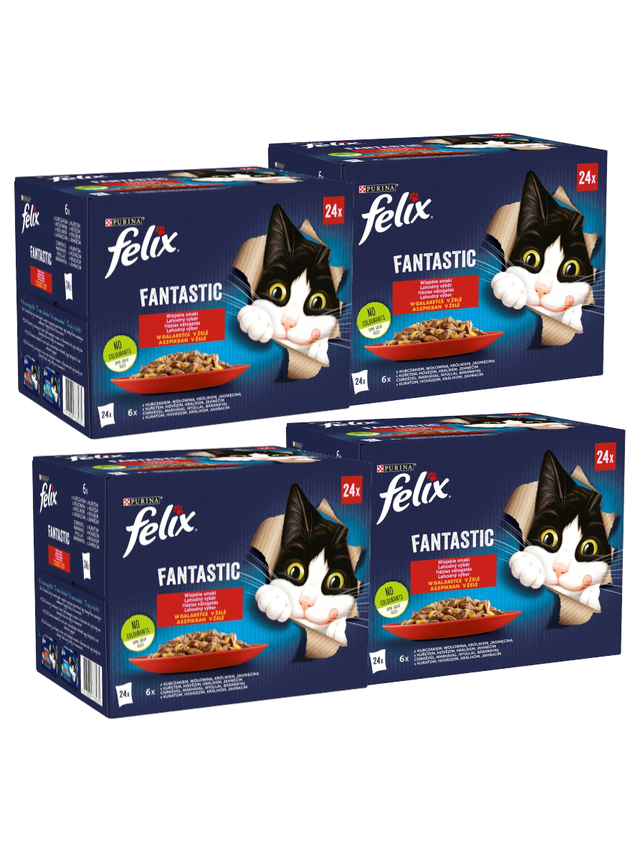 FELIX Fantastic Wiejskie Smaki w galaretce: 96x85g