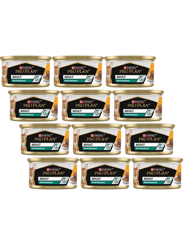 PRO PLAN Adult Wilgotny pasztet z kurczakiem Mokra karma dla kota 12x85g