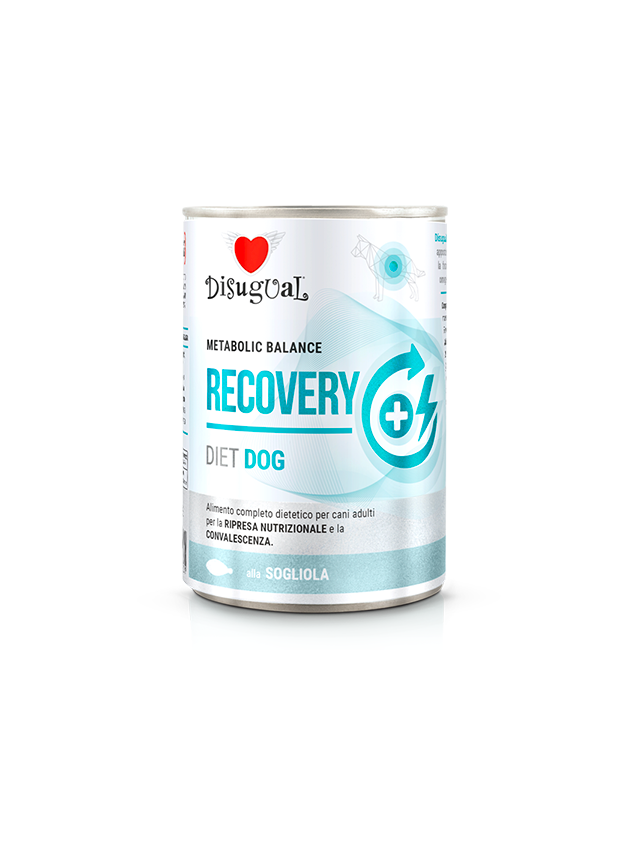 Disugual Karma mokra dla psa Weterynaryjna RECOVERY Sola (dorosły) 400g