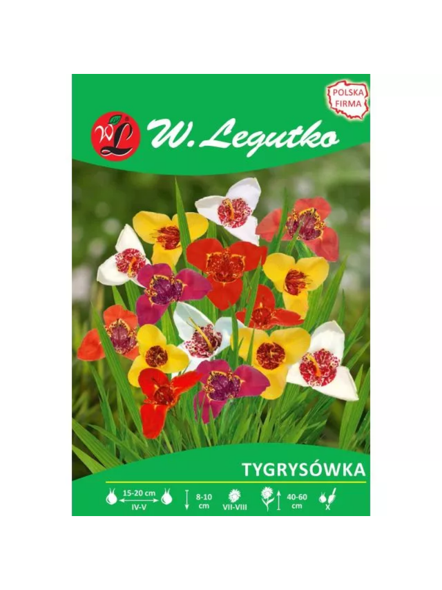 Tygrysówka mieszanka 7szt.