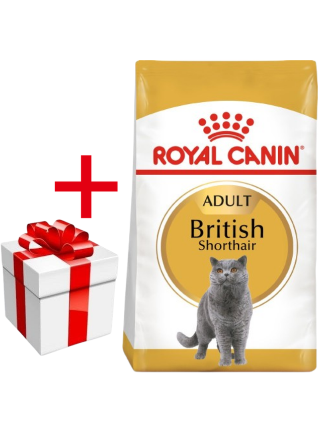 ROYAL CANIN British Shorthair 2kg + niespodzianka dla kota GRATIS!